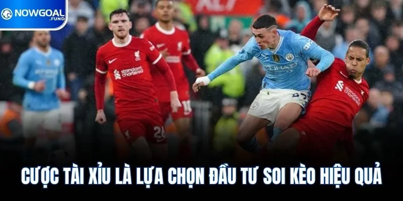 Cược tài xỉu là lựa chọn đầu tư soi kèo hiệu quả