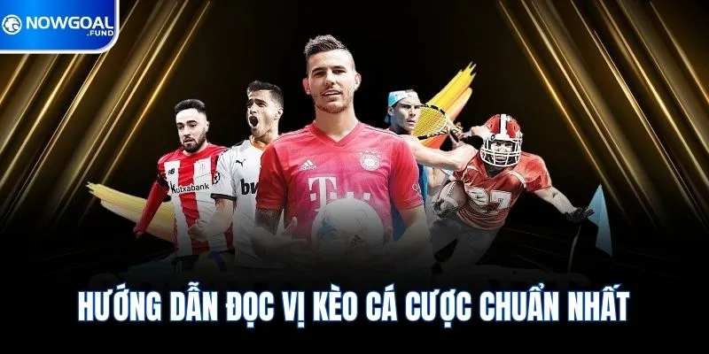 Hướng dẫn đọc vị kèo cá cược chuẩn nhất