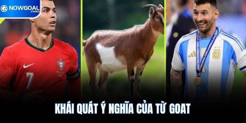 Khái quát ý nghĩa của từ Goat