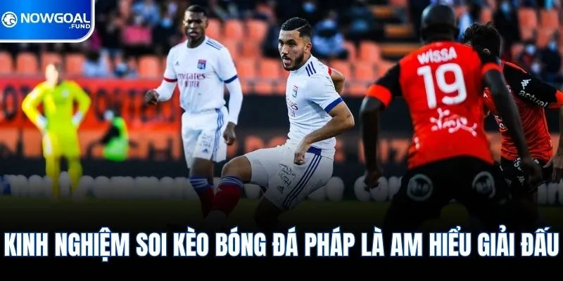 Kinh nghiệm soi kèo bóng đá Pháp là am hiểu giải đấu