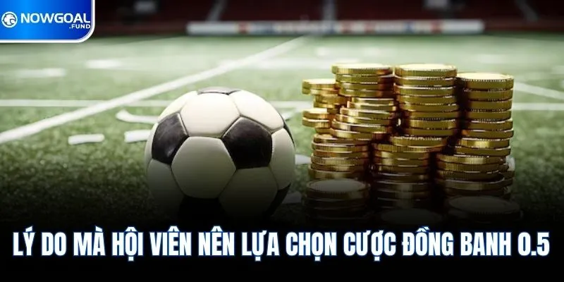 Lý do mà hội viên nên lựa chọn cược đồng banh 0.5